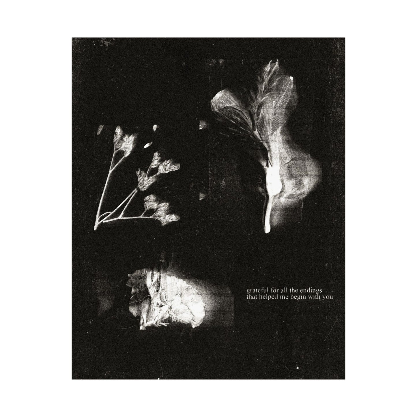 DB1114 POSTER